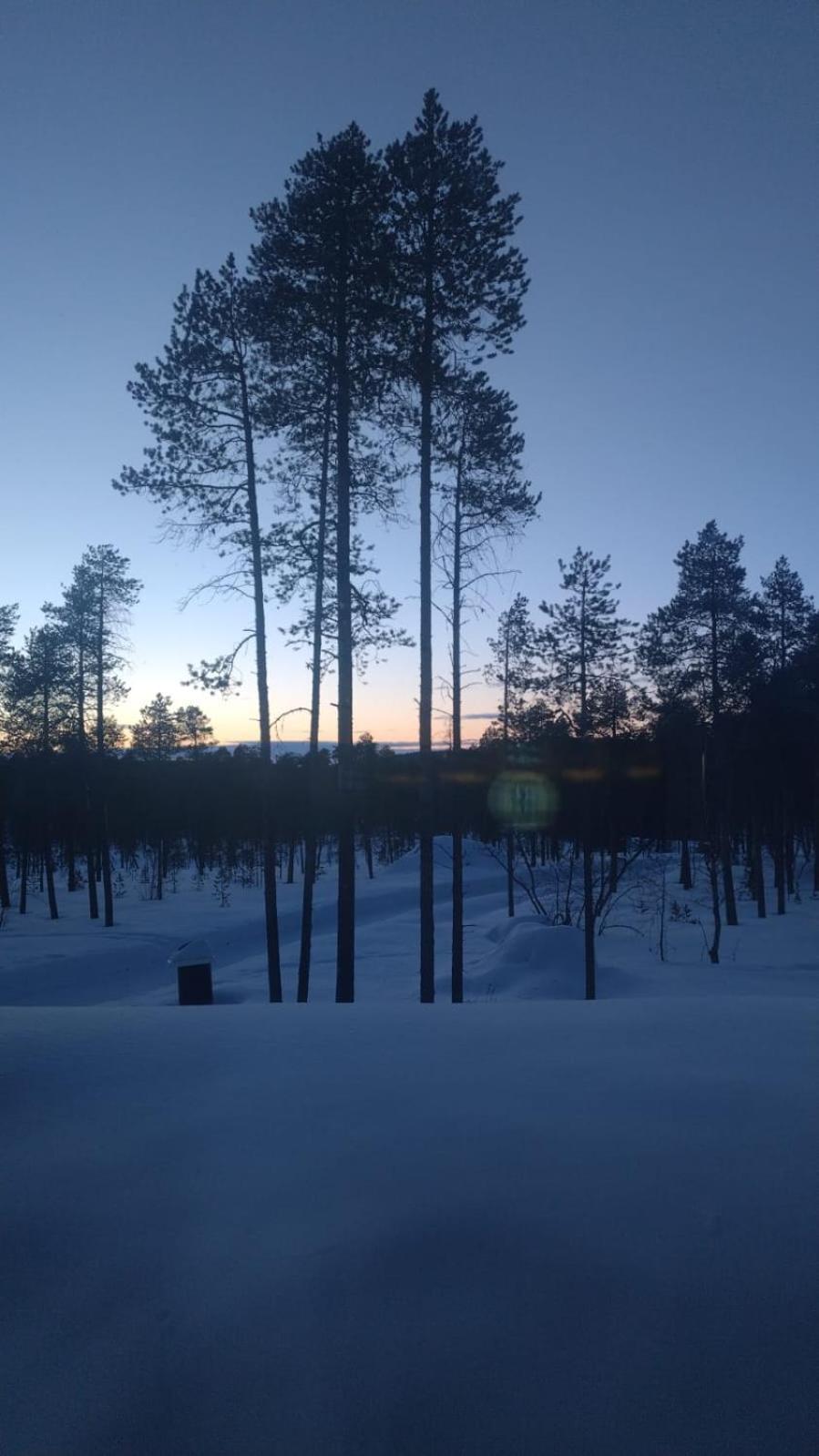 Villa Lusma Inari Dış mekan fotoğraf